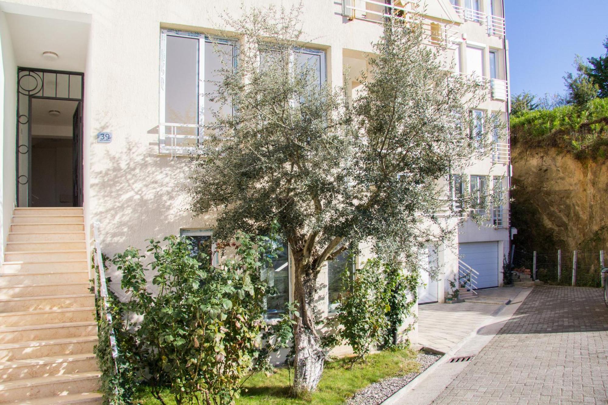 Exclusive Apartment Tirana Eksteriør billede